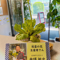 画像732