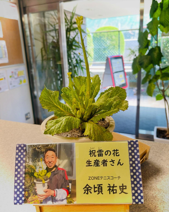 画像732